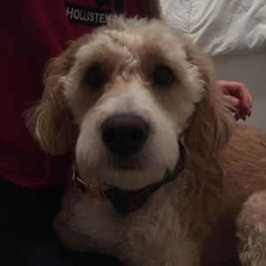 Meet your Posher, Kathleen